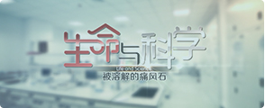 清吉清枫官网