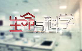 清吉清枫官网
