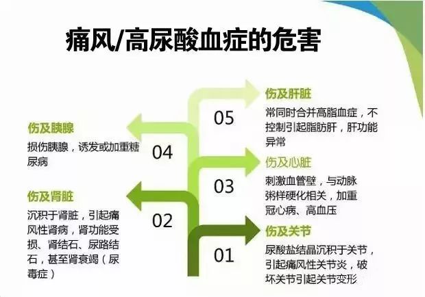 清吉清枫