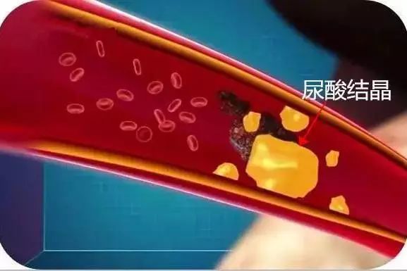 清吉清枫